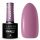  Hybrid-Farblack Claresa Shades of Purple Purple 613