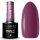  Hybrid-Farblack Claresa Shades of Purple Purple 616