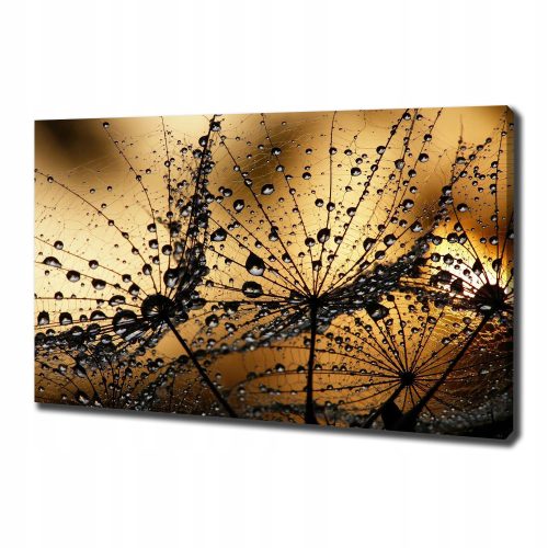 Bilder an der Wand Fotogemälde auf Leinwand Löwenzahnsamen 100x70 cm