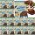 Frank&Oli Vegane Protein Brownies - Glutenfrei und Ohne Zuckerzusatz