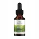  Swanson Health Products Ginkgo Biloba Flüssigextrakt Ginkgo Biloba 29,6 ml