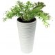  Valle Verde Blumentopf 30 cm x 30 x 52 cm Durchmesser 30 cm Kunststoff weiß