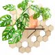 BLUMENSTÄNDER AUS HOLZ Wand-Blumenständer aus Holz BOLT 3D-Paneele