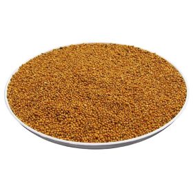 GELBE SENFSAMEN POLEN 25 kg