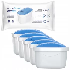  Filtereinsatz für die AquaFlow MaxiMag-Kanne 1 Stk.