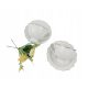Abendessenservice Zellerfeld Premium Tee- und Kaffeeservice 12-tlg.