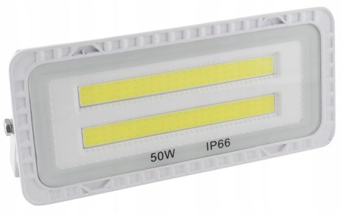 Halogene für den Außenbereich und den Garten Halogen kaltweiß 2500 lm 50 W