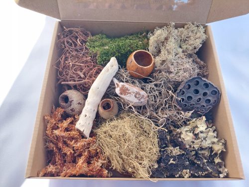  Terrarien-Dekorationsset, große Kiste 20x20x5 Nr.1
