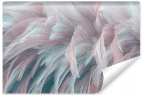  Fototapete Bunte FEDERN 3D-Dekor 368x254
