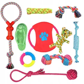  BestHurt Hunde-Agility-Set Ein Set Hundespielzeug