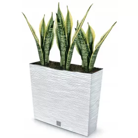    Prosperplast Blumentopf 58 cm x 18 x 49,8 cm, weißer Kunststoff