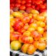  100 KornSÜSSE TOMATENSAMEN ALTER DEUTSCHER ALTER SORTE