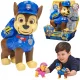  Fidget Popper Pop IT Paw Patrol Chase Spielzeug