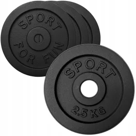  GUSSEISENGEWICHT 4x2,5kg SET 10kg Platte 28mm