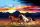FOTOTAPETE PFERDE GALOP SONNENUNTERGANG BERGE 360x240