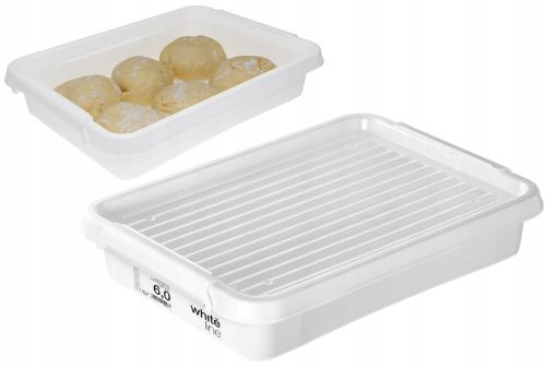 Lebensmittelbehälter BEHÄLTERBOX MIT DECKEL FÜR PIZZATEIG
