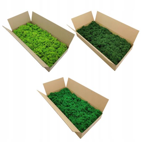 Dekoratives Moos Dekomoos im Karton 500g 30 x 30cm