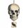  Totenkopf hängend Amscan 44 cm