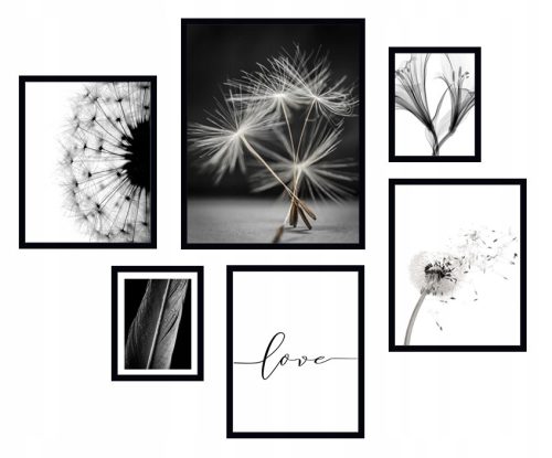 Bilder an der Wand 6x BILDERRAHMEN POSTER BOHO RAHMEN DANDELICE