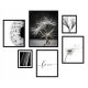 Bilder an der Wand 6x BILDERRAHMEN POSTER BOHO RAHMEN DANDELICE