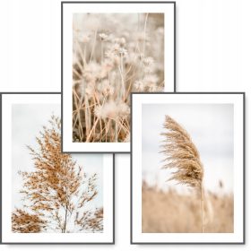 BOHO-Set mit 3 Gemälden 30x40 NATURGRAS Poster #12