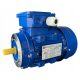 Elektromotor 0,25 kW 1400 U/min. 63 B14 Vorgesetzter