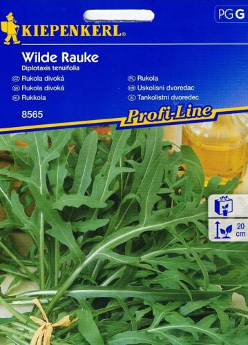  Wilde Rauke Samen 1 g