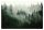 NATURWALD im Nebel Fototapete 400x280cm für das Wohnzimmer