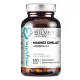 MyVita Magnesiumchelat + Vitamin B6 - 120 Kapseln für Energie und Nervensystem