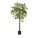 Künstliche Blumen und Früchte Ficus im Topf, grün, hoch, 150 cm, künstlich