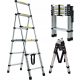 DayPlus Leiter 1,7 m Aluminium 6 bis 150 kg