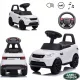  RIDDLE PUSHER WALKER 3 IN 1 LAND ROVER DISCOVERY CAR GROßES AUTO FÜR KINDER