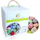  LIVING STONES LITHOPS WACHSTUMSSET XXL GESCHENK