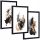 Bilder an der Wand 3 Teile im RAHMEN, schwarze Abstraktion – 53x139cm