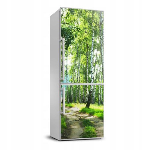 Dekorative Wandaufkleber Fototapetenaufkleber Birkenwald Kühlschrank 70x190