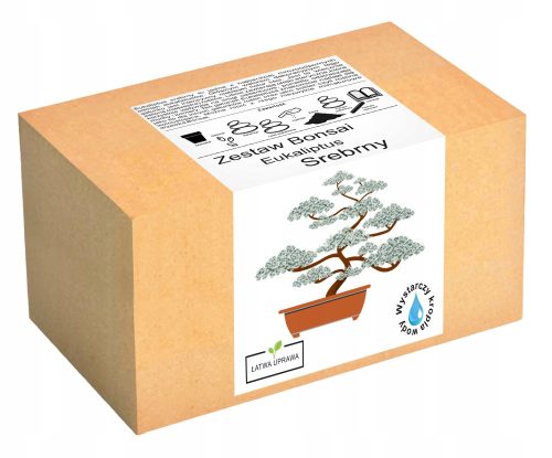  Set zum Züchten eines silbernen Eukalyptus-Bonsaibaums