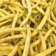  Vilmorin-Samen Zwerggrüne Bohnen Rocdor 30 g