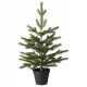  IKEA VINTER Kunstpflanze Weihnachtsbaum 55cm Blumentopf