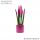  Sansevieria VELVET TOUCHZ ROSA + 33CM TOPF