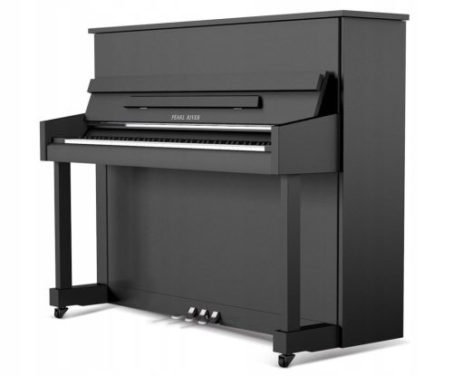  Promise 118 EU Pianoschwarz matt + Chrom