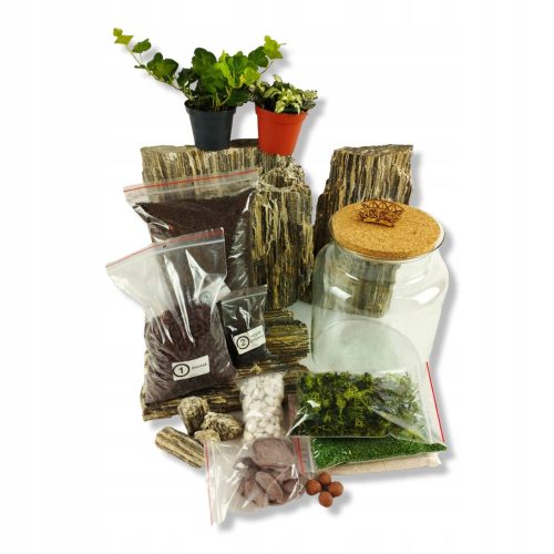 Wald im Glas WALD IM GLAS – Do-it-yourself-DIY-Zylinder 1+ gratis