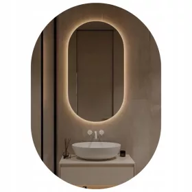    LED-beleuchteter Wandspiegel 100x50 cm oval für Kleiderschrank Badezimmer