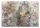  Fototapete BLÄTTER BETON Retro Vintage 368x254