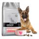  Calista Trockenfutter Lachs 12 kg