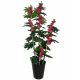 Künstliche Blumen und Früchte Künstlicher Hibiskusbaum 180 cm