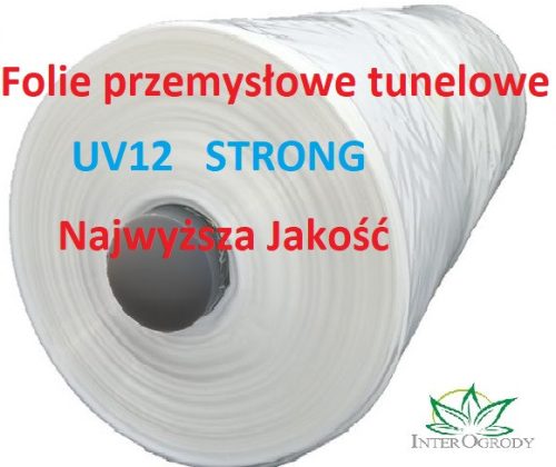 Folientunnel, Kunststoffplatten Folientunnel 6 m² 100 x 600 cm transparent