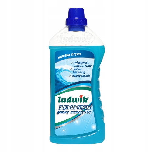  Ludwik Bodenreinigungsflüssigkeit 1l