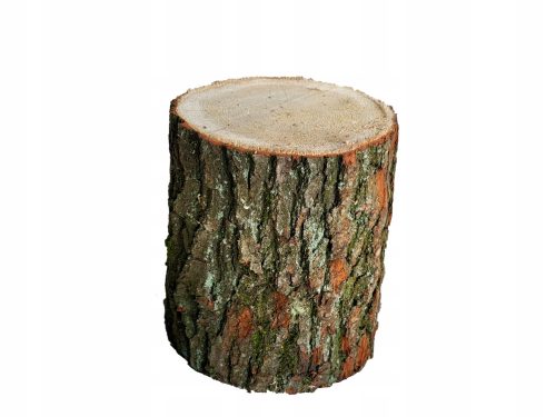  Stumpfdübelsitzstuhl Eichenholz 30 cm