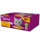  WHISKAS Beutel Katzenfutter mit Geflügel 80x85g