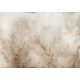 FOTOTAPETE GRAS WIESE NATUR 400x280 bC-10315-aa